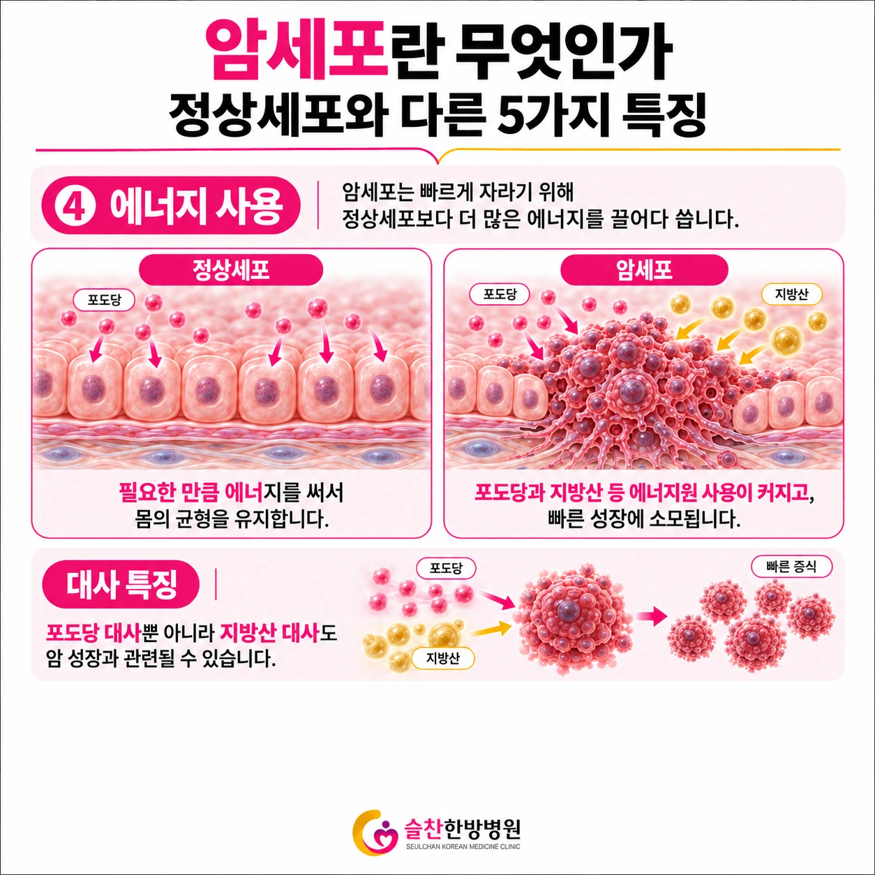 암한방병원 - 암세포란 무엇인가? - 에너지사용