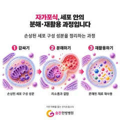 암환자 다이어트 방법? 간헐적 단식, 해도 될까요 — 몸이 달라지는 3가지 특징과 안전하게 시작하는 방법